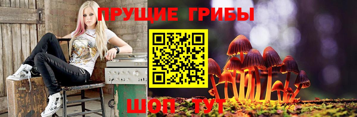 Дюртюли  Галлюциногенные грибы Magic Shrooms  Псилоцибиновые грибы Psilocybe  Вход с VPN 